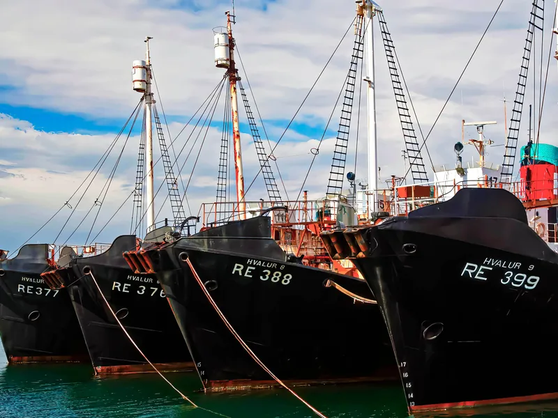 Fishing boats moored at Reykjavik's old harbour