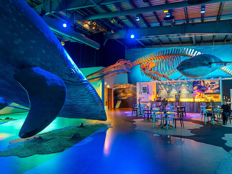 Life-size whale models lit in blue inside the Whales of Iceland exhibition